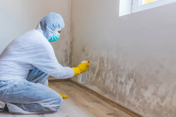 Hvac And Air Duct Mold Remediation inspection of HVAC system in Clermont